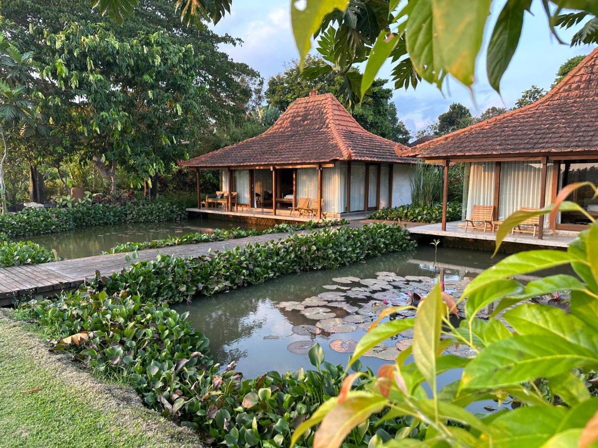 Griya Kcb Villa Убуд Екстериор снимка