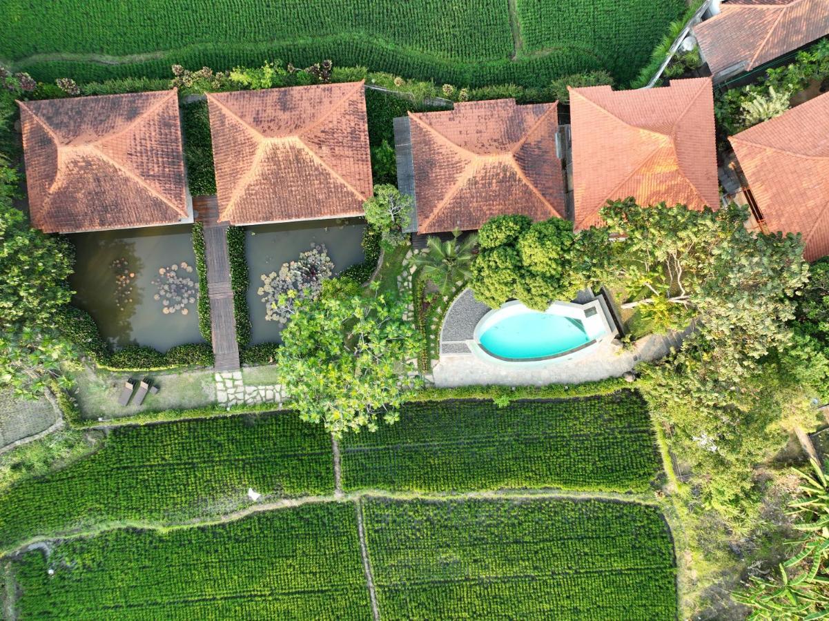 Griya Kcb Villa Убуд Екстериор снимка